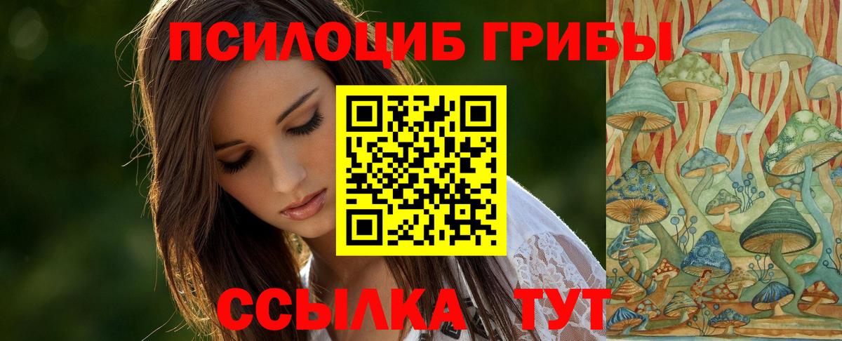 Дербент  Псилоцибиновые грибы MAGIC MUSHROOMS  Вход с VPN 