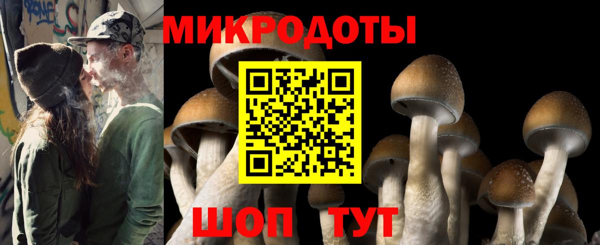 Галлюциногенные грибы GOLDEN TEACHER Дербент